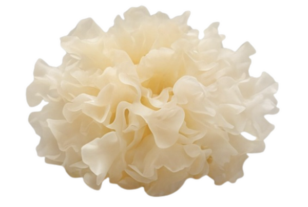 Tremella Mushroom